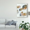 thumbnail image 3 of Trademark Fine Art 'Inset I' Canvas Art by Jennifer Goldberger, 3 of 4