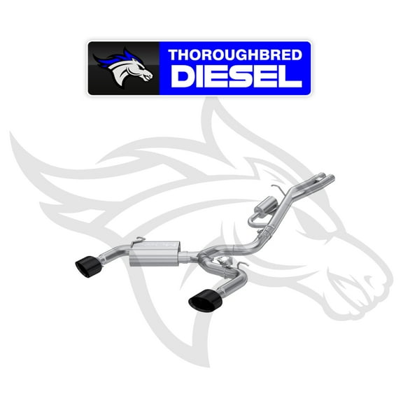 MBRP S46103BC Cat-Back Exhaust System for Audi RS3 2.5T