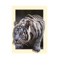 thumbnail image 1 of Pintura Animal Amante Espacio Exterior Apariencia Atractiva Estrás Decoración Embroidery 35x45 cm perfecl  Pintura del diamante DIY, 1 of 8