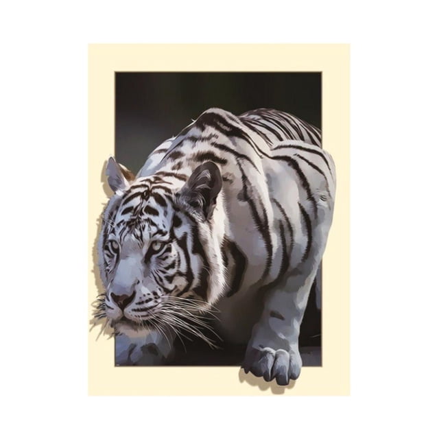 Pintura Animal Amante Espacio Exterior Apariencia Atractiva Estrás Decoración Embroidery 35x45 cm perfecl Pintura del diamante DIY