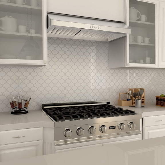 623-430-36 Professional 900 CFM 36 Inch Wide Under Cabinet Range Hood