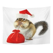 UFAEZU Christmas Chipmunk in Red Santa Claus Hat Funny Squirrel Holiday Wall Art Hanging Tapestry Home Decor for Living Room Bedroom Dorm 51x60 inch