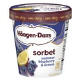 thumbnail image 6 of Haagen-Dazs Summer Blueberry and Lemon Sorbet, 14 fl oz, 6 of 11