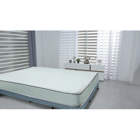 Purest of America® Vinyl Spill Resistant 6" Olympic Queen Mattress (Hospital, College, RV)
