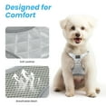 thumbnail image 6 of PcEoTllar Dog Harness and Leash Combo, Escape Proof No Pull Vest Harness, Step-in Reflective Adjustable Soft Padded Pet Harness for Small to Large Dogs, Gray XS, 6 of 12