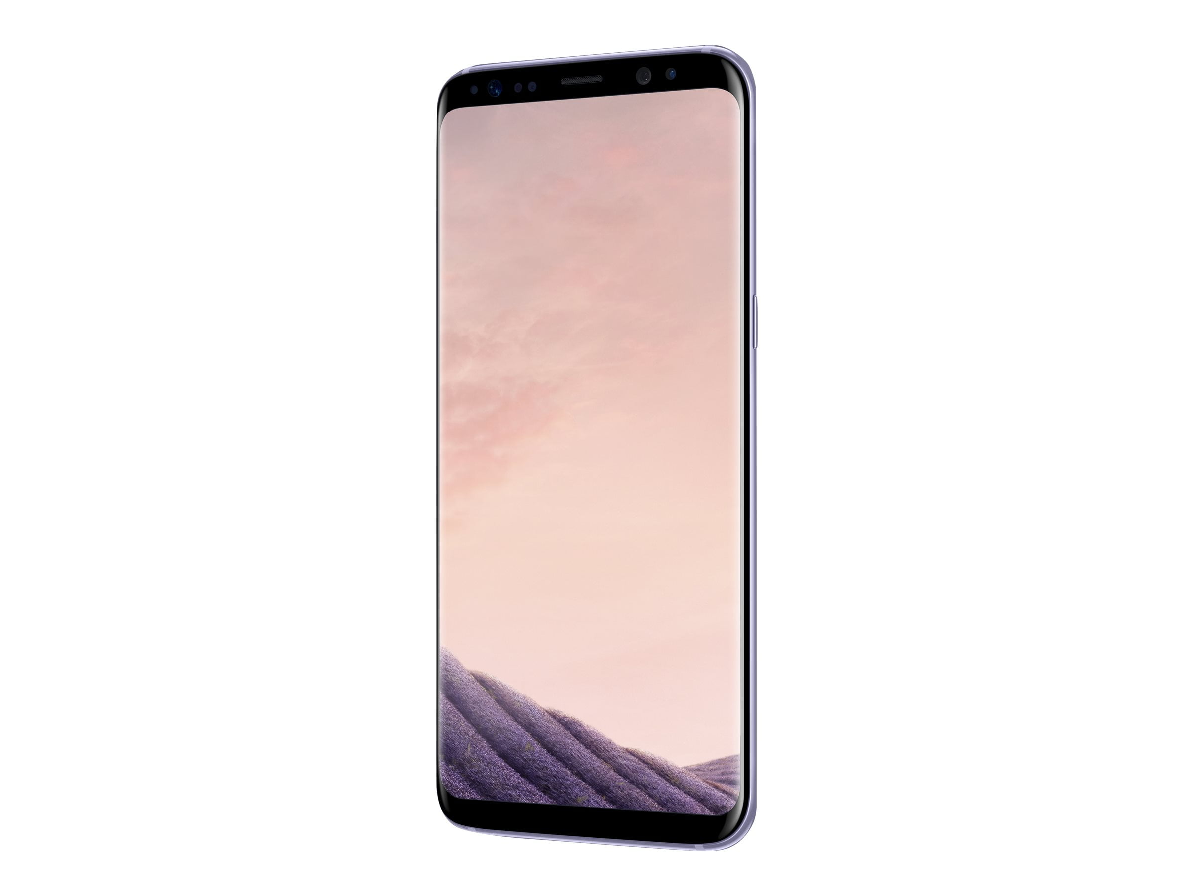 Samsung Galaxy S8 - 4G smartphone - RAM 4 GB / Internal Memory 64