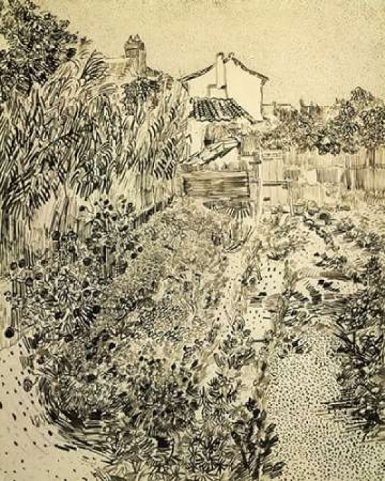 The Flower Garden C