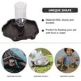 thumbnail image 2 of Miangastore 1pc Small Pet Feeding Bowl Drinking Foods Feeder Container for Lizard Turtle Reptile (Coffee), 2 of 8