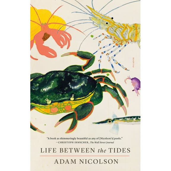 Life Between the Tides (Paperback)