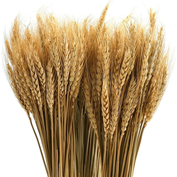 AURORA TRADE 19.69” Artificial Dried Wheat Natural Fall Arrangement Bouquet (25 Count)