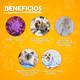 thumbnail image 4 of Kit Cepillo Y Tijeras  Lab.G Mascota 7pz COLORES, 4 of 5