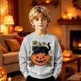 thumbnail image 2 of ZHOGXU Baby Boys Girls Halloween Pullover Pumpkin Black Cat Print Crewneck Sweatshirts Kids Outerwear Tops Vacation Travel,Grey,1-2 Years, 2 of 5