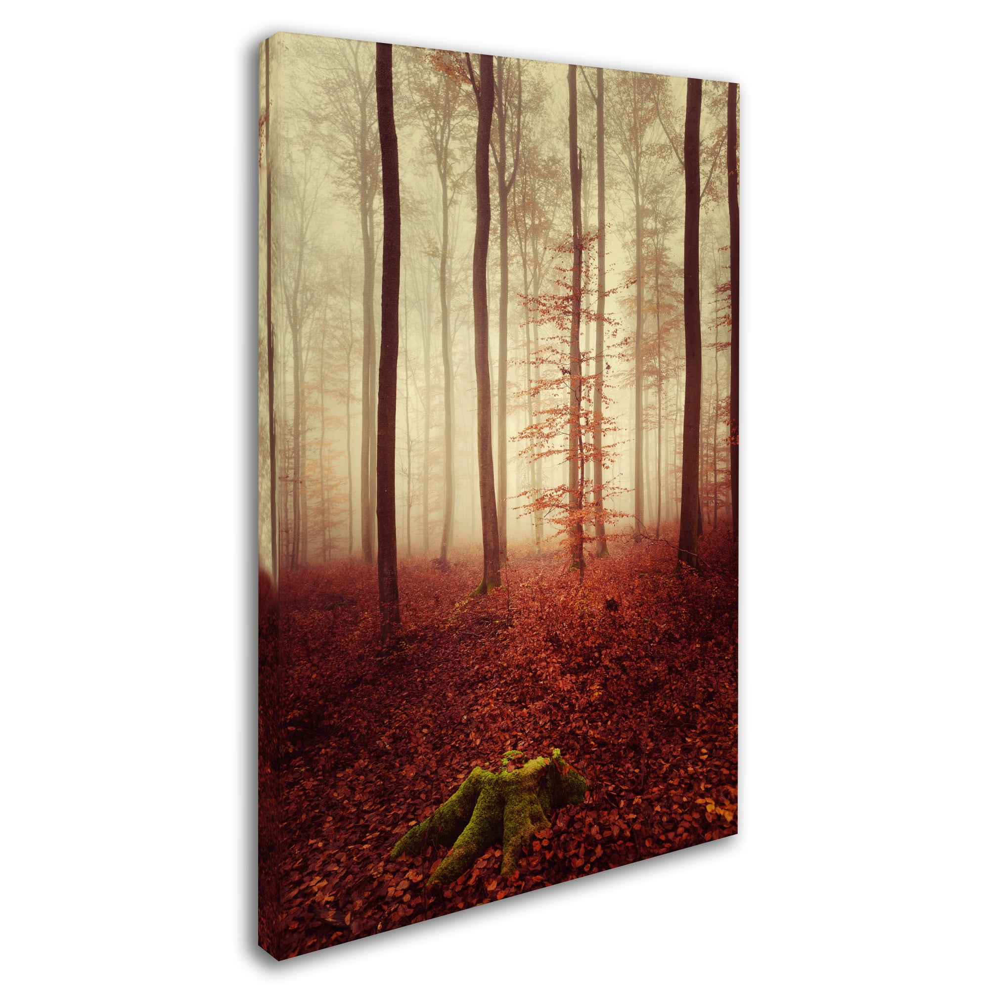 Trademark Fine Art "Land of the Free" Canvas Art by Philippe Sainte-Laudy