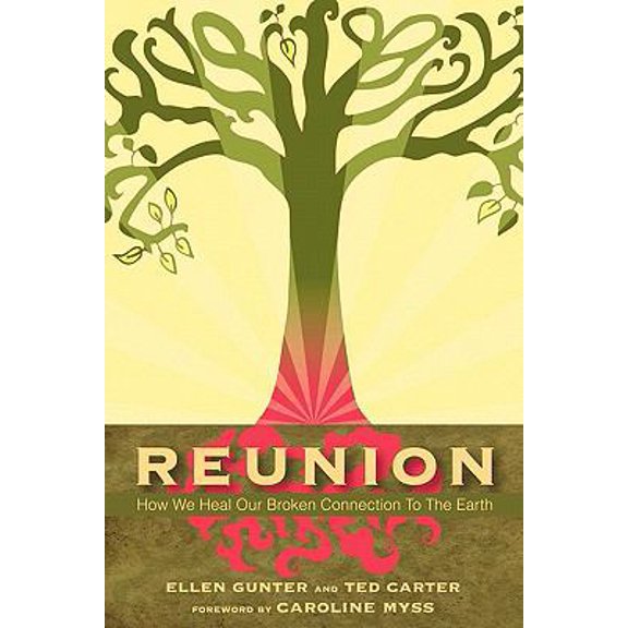 Pre-Owned Reunion: How We Heal Our Broken Connection to the Earth (Paperback) 0966780876 9780966780871