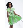 thumbnail image 2 of Teenage Mutant Ninja Turtles Raphael Scuba Cosplay Hooded Tulle Tutu Dress Toddler to Big Kid, 2 of 5