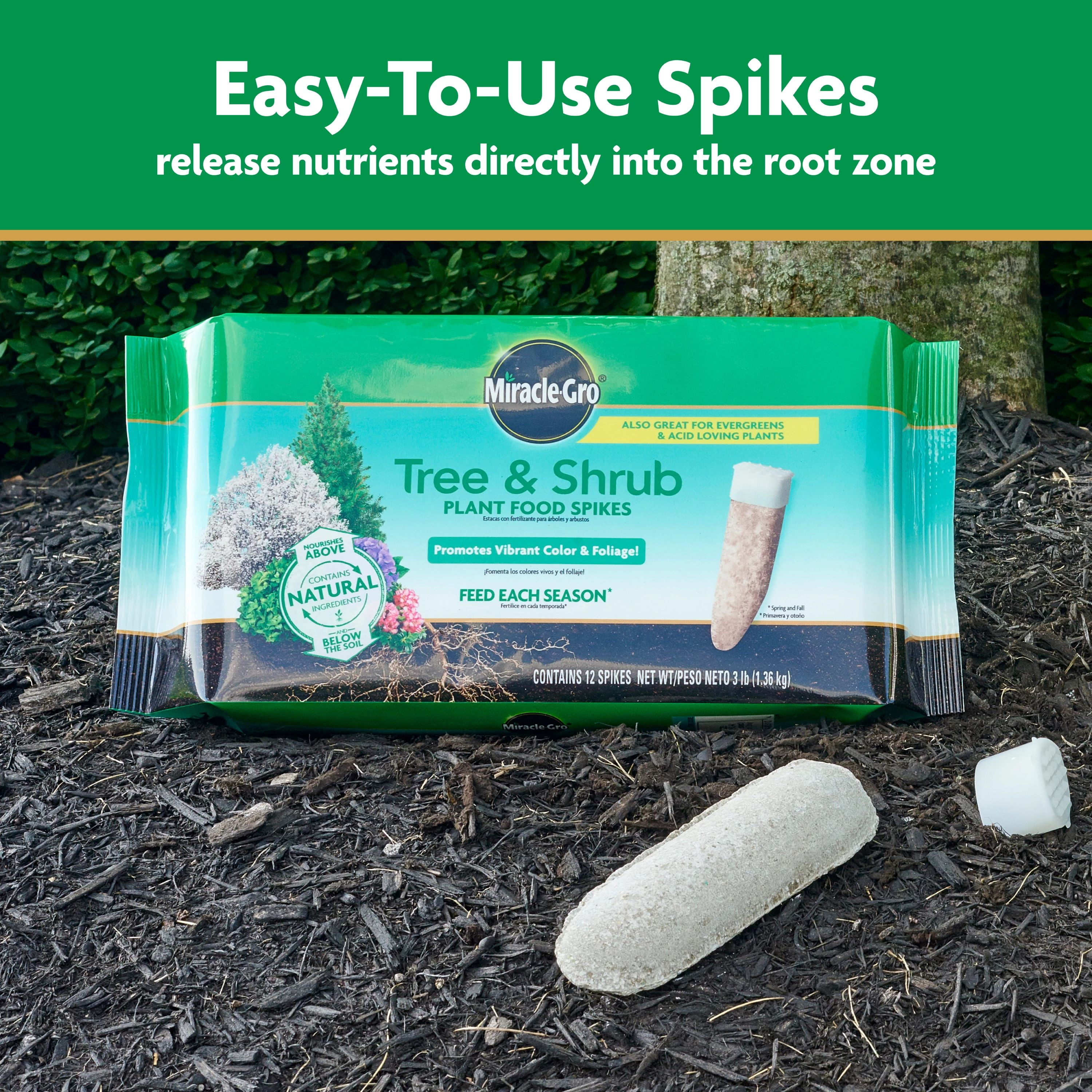 Miracle-Gro Tree and Shrub Plant Food Spikes, Also For Acid-Loving Plants, 12 Spikes