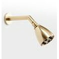 thumbnail image 6 of Fire Hydrant Presidental 6 Jet 2-15/16-Inch Round Adjustable Jet Spray Brass Shower Head in Polished Brass, 6 of 6