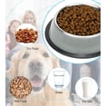 thumbnail image 4 of Podinor Cuencos De Acero Inoxidable Para Perros, Comida Y Agua, Antideslizantes, Apilables, Platos Para Cachorros Para Perros Pequeños, Medianos Y Grandes (Paquete De 2), 4 of 5