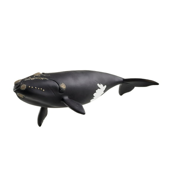 Schleich Wild Life 7” North Atlantic Right Whale Figurine with Realistic Design