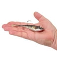 thumbnail image 2 of Berkley PowerBait® Power® Switch, 5 in, HD Red Belly Goby, 2 of 4
