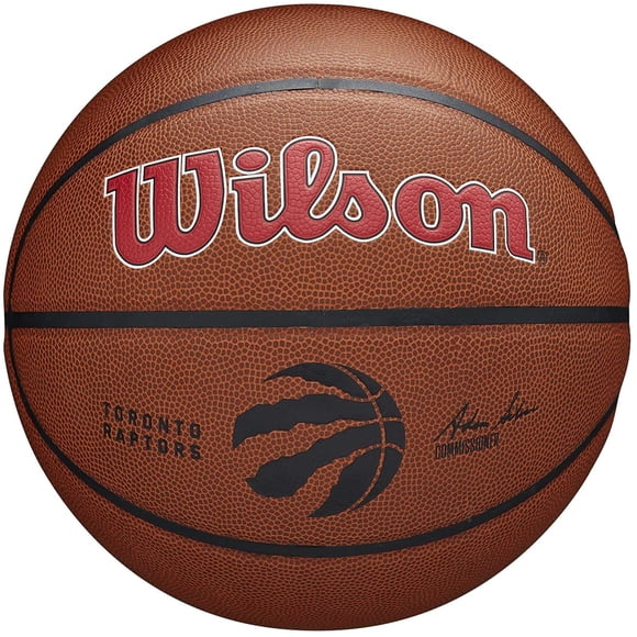 IGUOHAO NBA Team Alliance Basketballs - Men's Official, Size 7-29.5" Toronto Raptors