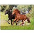 thumbnail image 1 of Horse Picture Ceramic Tile Mural Kitchen Backsplash Bathroom Shower 405296-M43, 1 of 3
