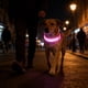 thumbnail image 1 of Collar LED para perros iluminado ajustable 15,75-18,9 in • USB recargable brillo en la oscuridad • 3 modos de luz • collar impermeable de nylon azul verde rojo, 1 of 6