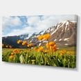 thumbnail image 2 of Prairie de Montagne avec Fleurs Jaunes - Grande Impression sur Toile, 2 of 3