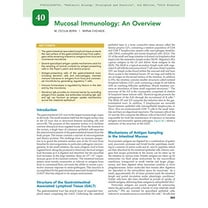 Pediatric Allergy: Principles and Practice Szefler MD, Stanley J.; Bonilla MD PhD, Francisco A; Akdis, Cezmi A; Sampson, Hugh and Leung MD PhD, Donald Y. M.