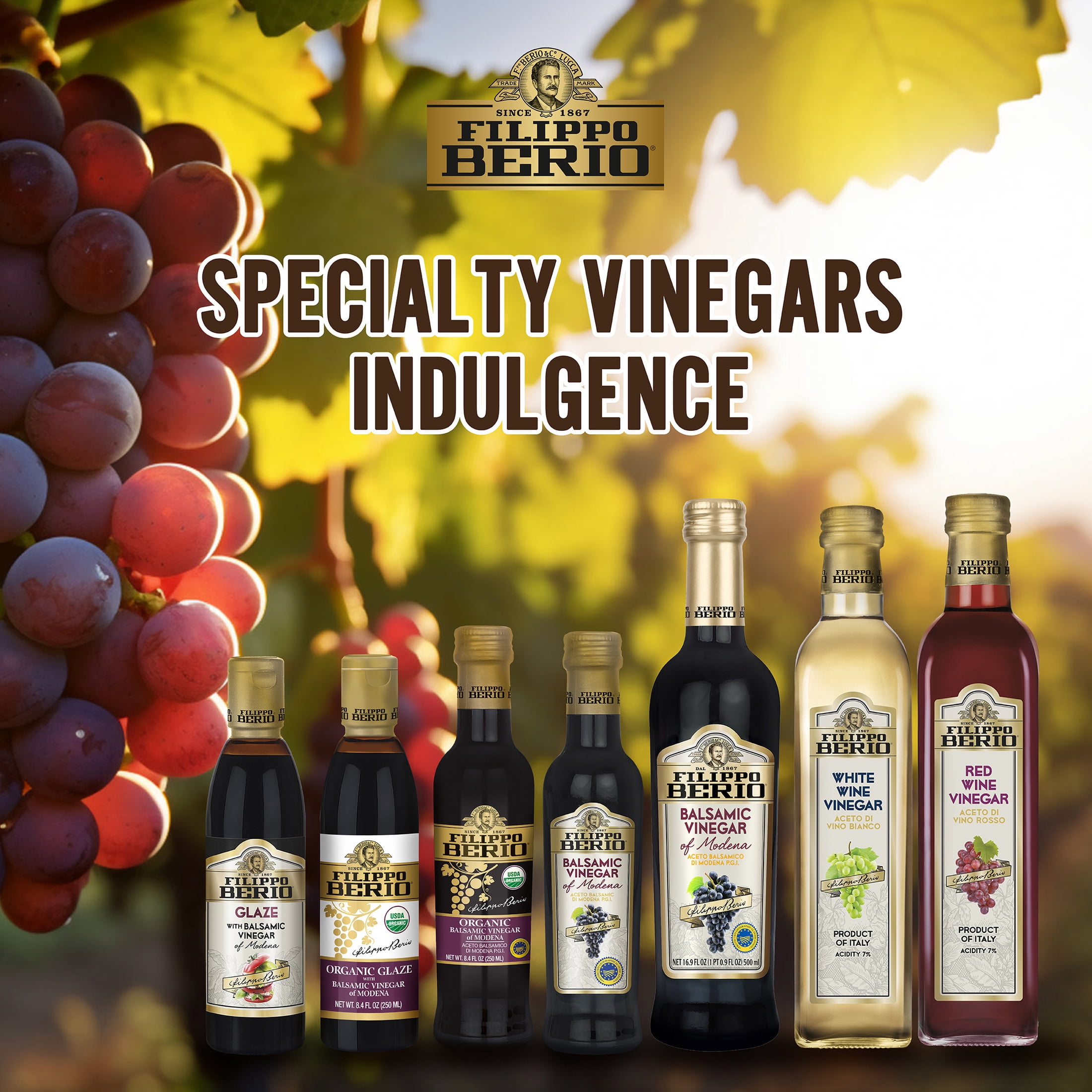 Filippo Berio® White Wine Vinegar 16.9 fl. oz. Bottle