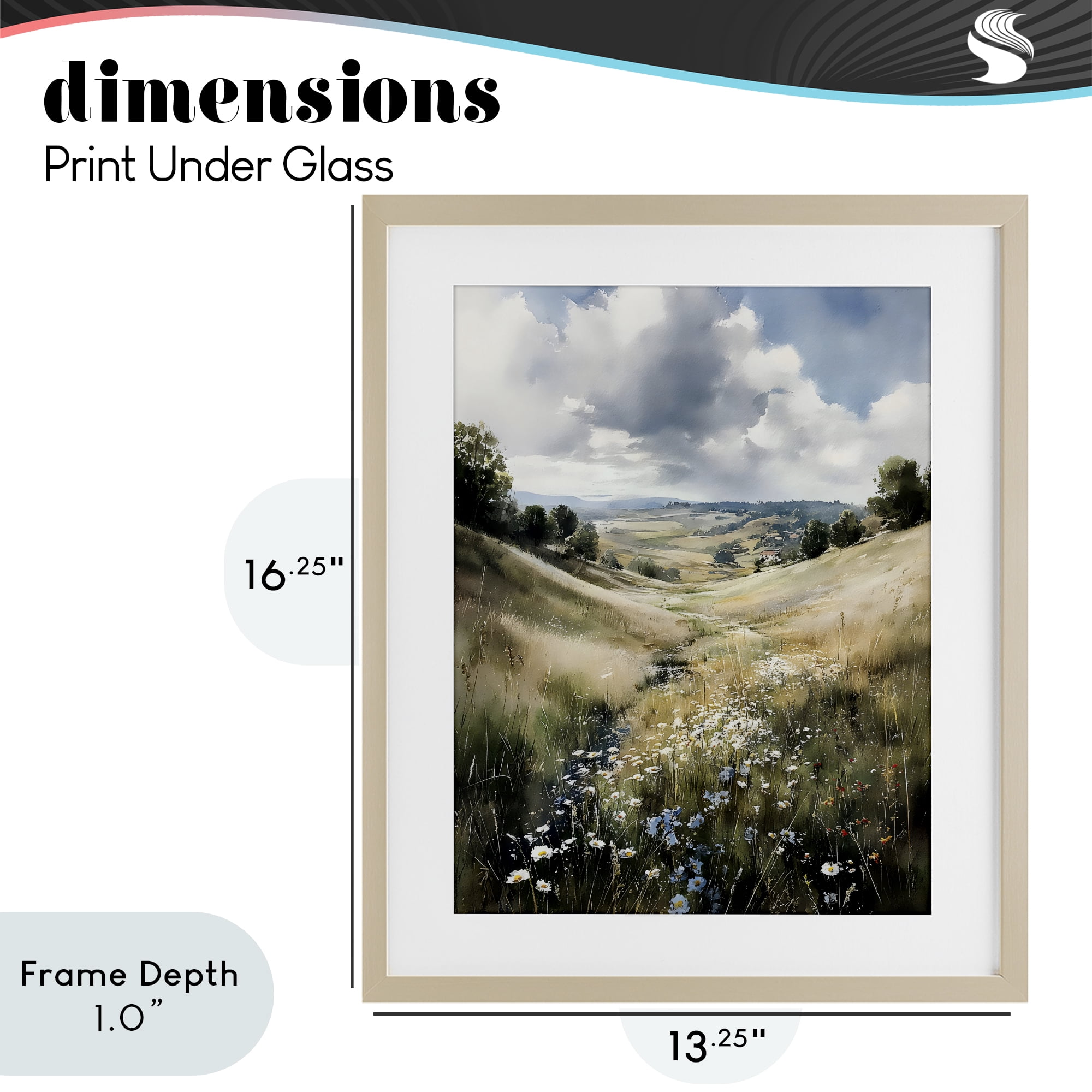 Stupell Industries Floral Valley of Wild Daisies Birch Framed Print Under Glass, design by Franklyn Gregory