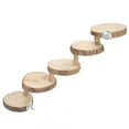 thumbnail image 1 of Hamster Ladder, Hamster Toy, Climbing Stairs 5 Layers Small Parrots For Small Pets, 1 of 8