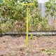 thumbnail image 1 of Manual Hand Tiller Agriculture Farmer Tool para áreas estrechas y anchas Duradero Resistente a la oxidación Robusto Manual Soil Grabber Mango cómodo Sharpla Garra de jardinería, 1 of 8