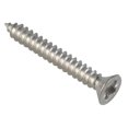 thumbnail image 1 of Forgefix Self-tapping Screws, Pozi, Pan Head, A2 Stainless Steel, 1 of 2