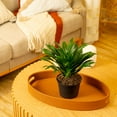 thumbnail image 3 of Expert Gardener 16" Foliage Live Plants Grower Pot, Air-Purifying, 3 of 5