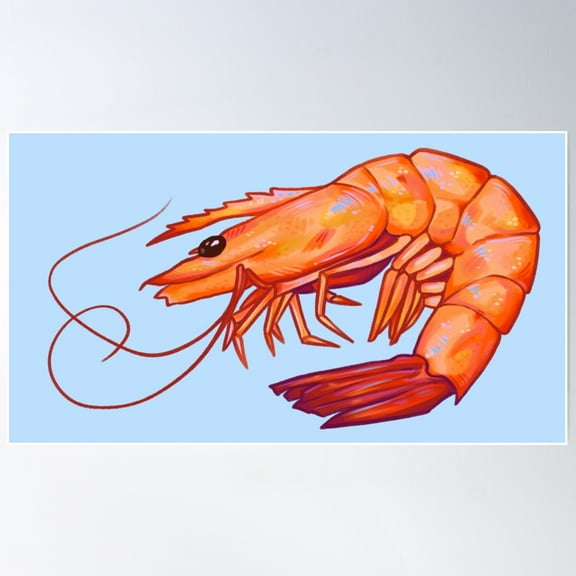 Funky Shrimp Poster Wall Art, Modern Wall Decor For Living Room Bedroom, 16x24 UNFRAMED
