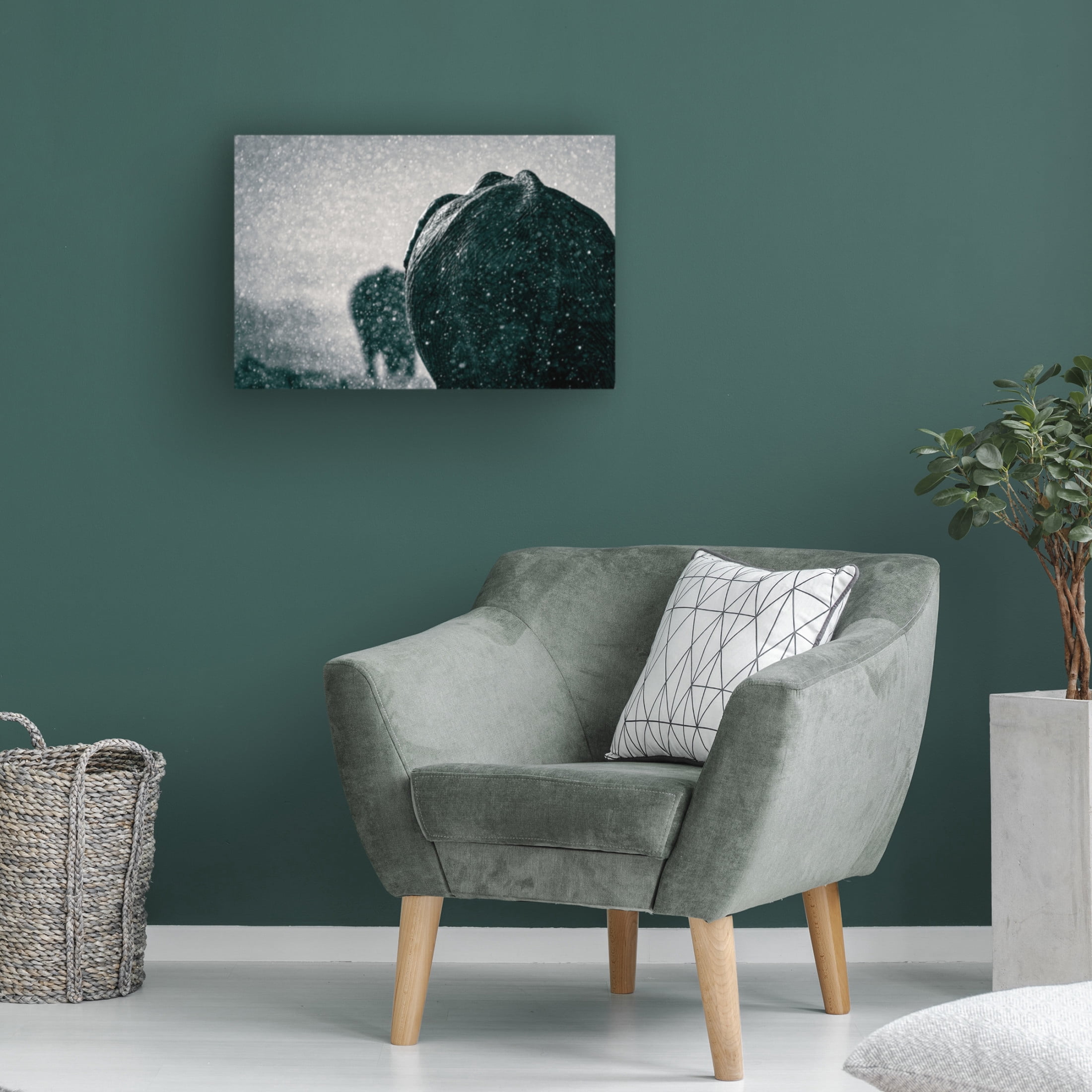 Trademark Fine Art Mike Taylor Rainy Season Canvas Wall Art