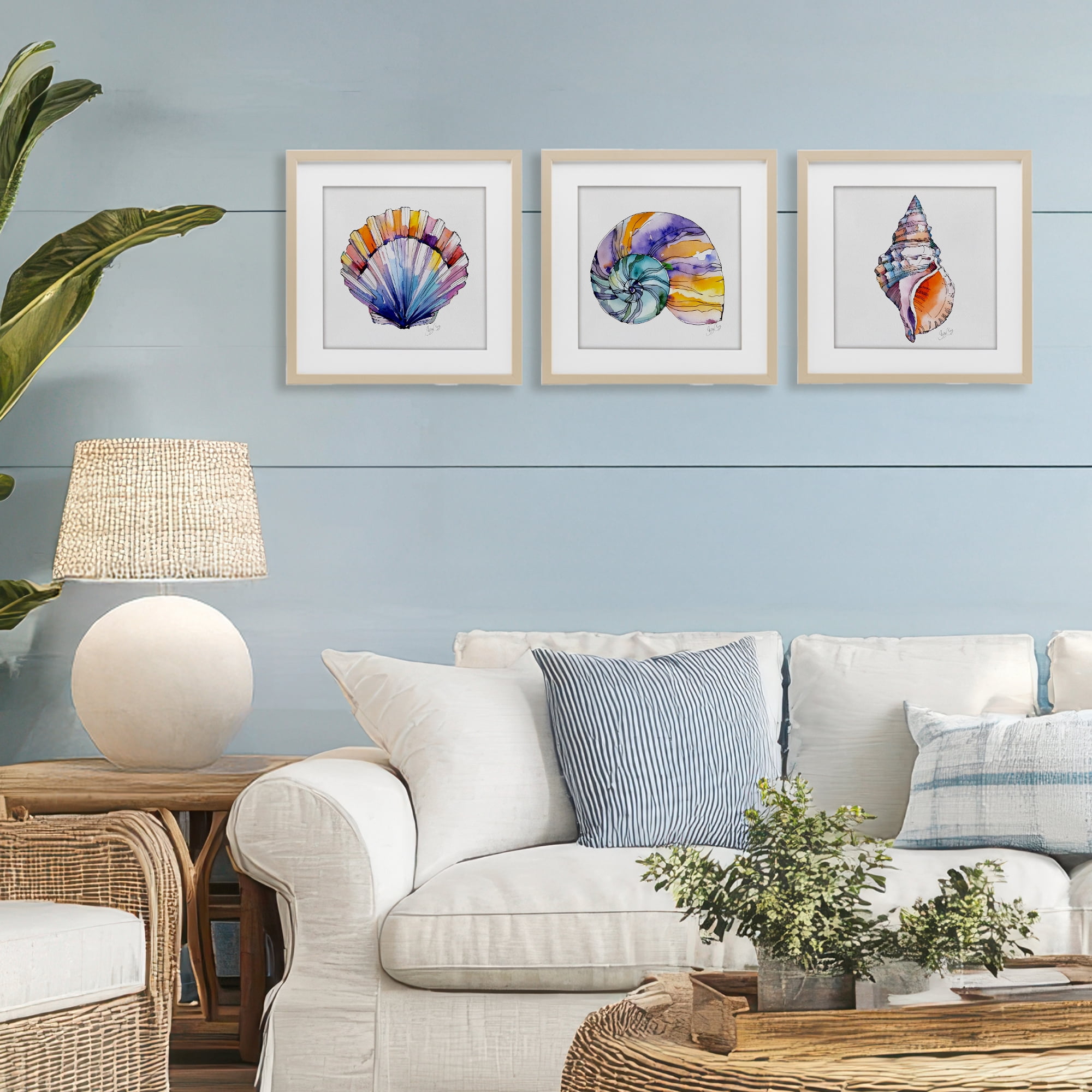 Stupell Industries Sunlit Seashells Watercolors 3 Piece Birch Framed Print Under Glass Set, design by Shelly Craig