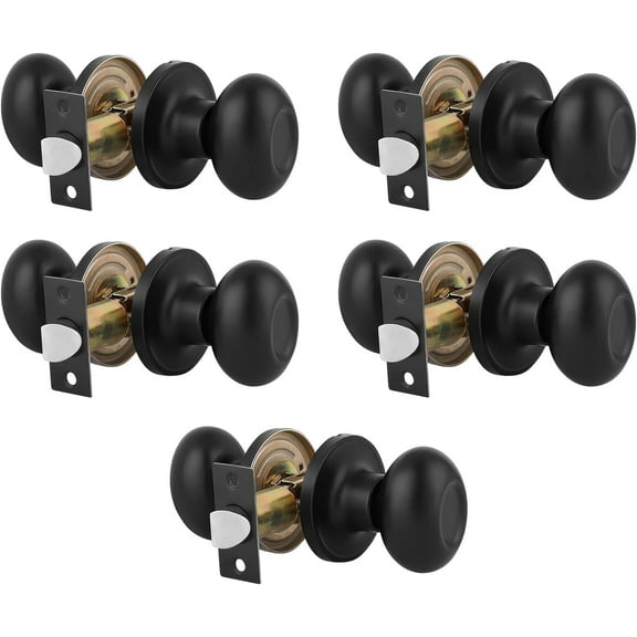 The Egg Shape Door Knobs Passage Handles for Hall and Closet in Black 5 Pack