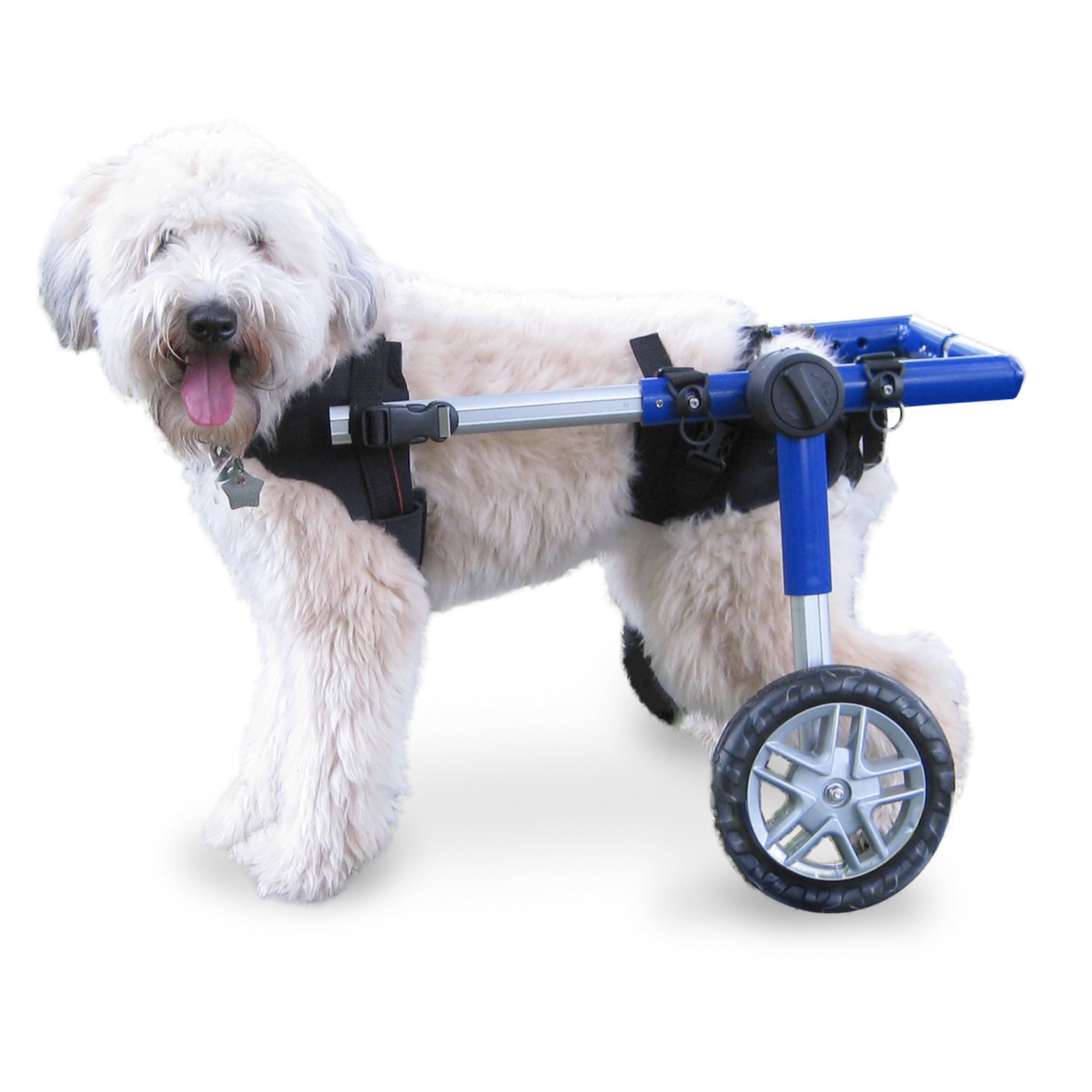 Walkin' Wheels Dog Wheelchair for Med/Large Dogs 5069 Pounds Veterinarian Approved Dog Walkin' Wheels Dog Wheelchair for Med/Large Dogs 5069 Pounds Veterinarian Approved Dog