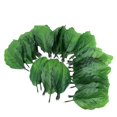 thumbnail image 1 of 100 Uds hojas de plantas artificiales ShuxiuWang decoración del hogar plantas de interior, 1 of 1