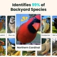 thumbnail image 2 of Comedero para pájaros Birdfy con cámara solar inteligente y IA para más de 6000 especies, 2 of 8