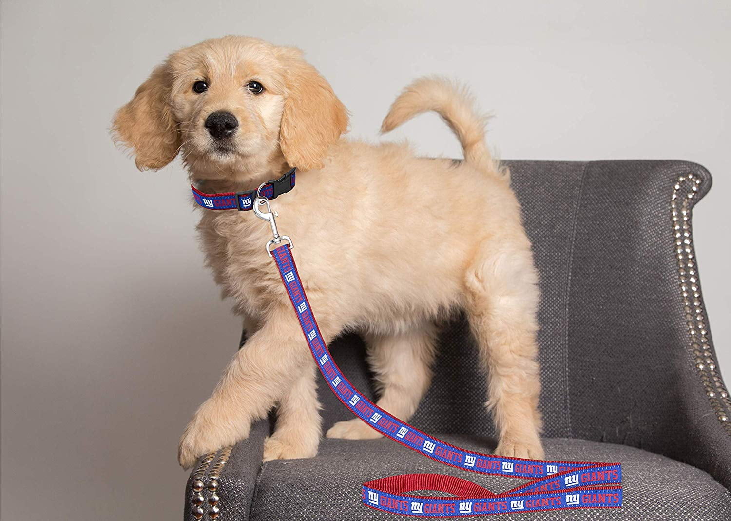 Pets First NFL New York Giants Heavy Duty and Durable Dogs and Cats Sports Leash - Medium