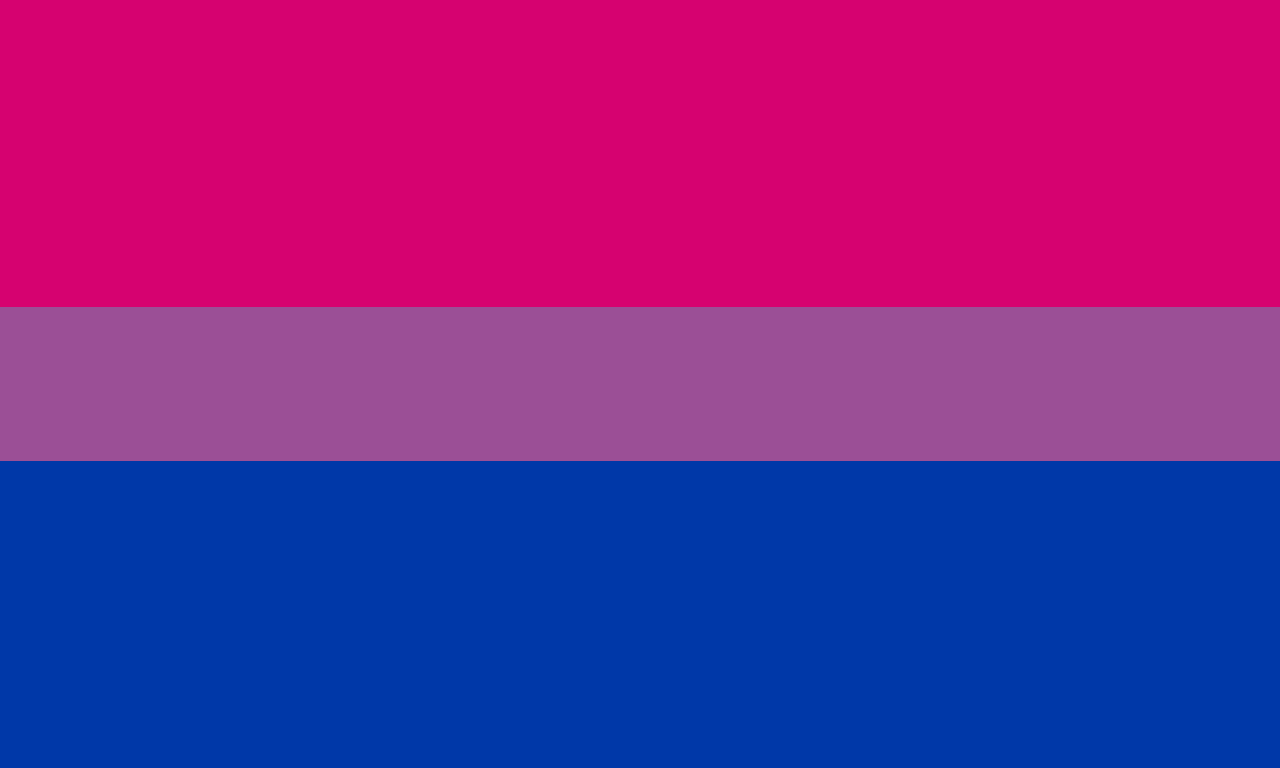 BISEXUAL FLAG Banner 5 x 3 Festival Carnival Parade Party LGBT Gay Pride 