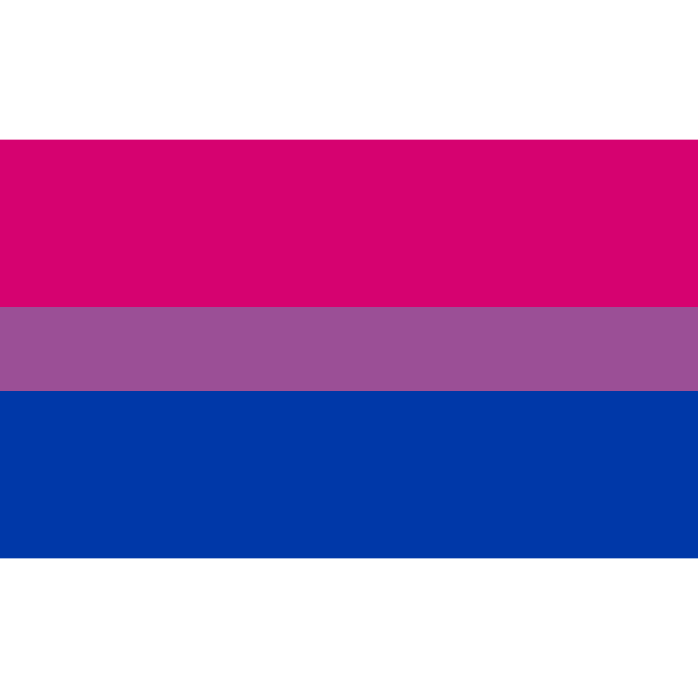 Bi Pride Flag Bisexual Banner Gay Lesbian Lgbt 3x5 Rainbow Festival Pennant 