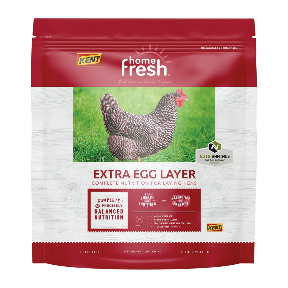 Kent Home Fresh Poultry Extra Egg Layer Chicken Pellet 7lb Walmart