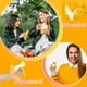 thumbnail image 5 of Compre 2 Ahorre 10% Pelado de frutas simulado, descompresión de naranjas, música para amasar, descompresión creativa de plátanos, ventilación y bromasCalidadExperiencia de usuarioSostenibilidad, 5 of 8
