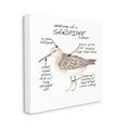 thumbnail image 3 of Stupell Industries Sandpiper Beach Bird Wildlife Learning Facts Chart Graphic Art Gallery Wrapped Canvas Print Wall Art, Design by Dishique, 3 of 7