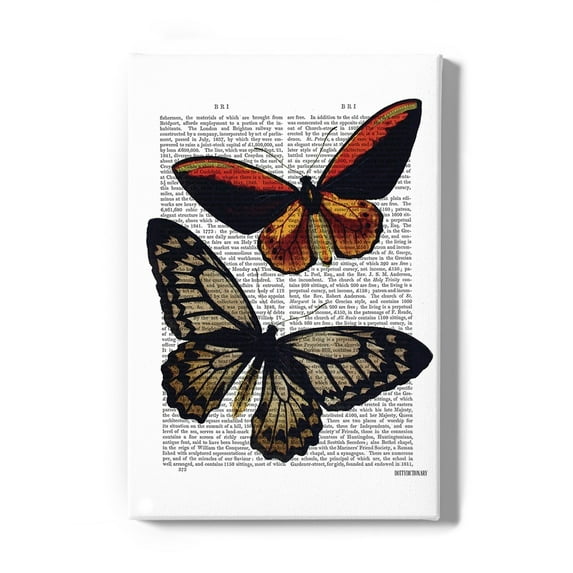 Vintage Butterflies Wrapped Canvas -Fab Funky Designs,