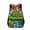 13, variant on My Singing Monsters Backpack Funny Singing Monsters Casual Daypacks - L Size/17in